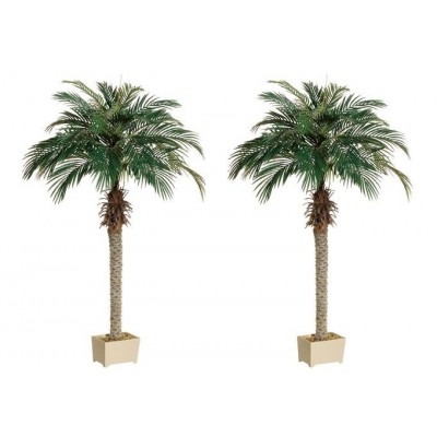 2 Artificial 70" Phoenix Palm Tree with Pot Plant Bush Topiary Office Patio Ivy    161254239329